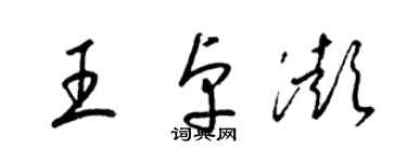 梁錦英王卓澎草書個性簽名怎么寫