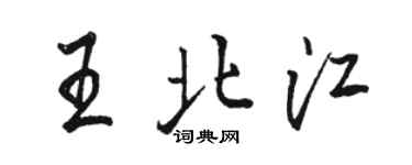 駱恆光王北江行書個性簽名怎么寫