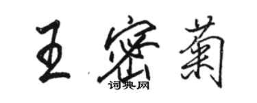 駱恆光王密菊行書個性簽名怎么寫