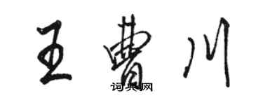 駱恆光王曹川行書個性簽名怎么寫