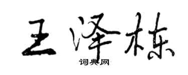 曾慶福王澤棟行書個性簽名怎么寫