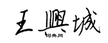 王正良王興城行書個性簽名怎么寫