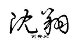 曾慶福沈翔草書個性簽名怎么寫