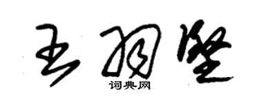 朱錫榮王羽堅草書個性簽名怎么寫