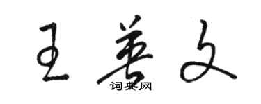 駱恆光王英文草書個性簽名怎么寫