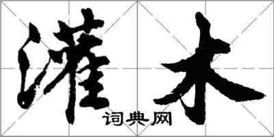 胡問遂灌木行書怎么寫