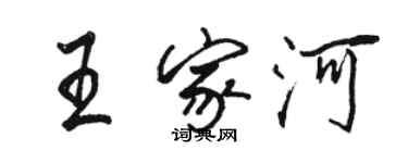 駱恆光王家河行書個性簽名怎么寫