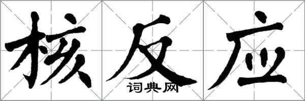 翁闓運核反應楷書怎么寫