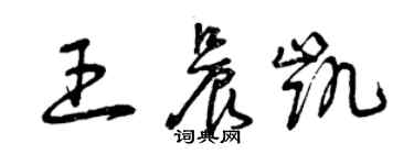 曾慶福王晨凱草書個性簽名怎么寫