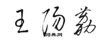 駱恆光王陽荔草書個性簽名怎么寫