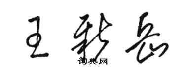 駱恆光王新岳草書個性簽名怎么寫