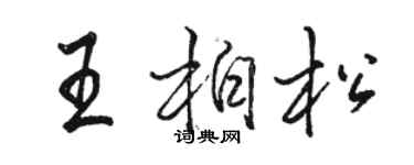 駱恆光王柏松行書個性簽名怎么寫