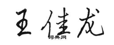 駱恆光王佳龍行書個性簽名怎么寫