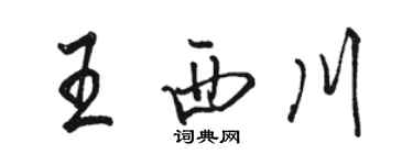 駱恆光王西川行書個性簽名怎么寫