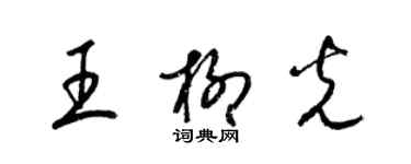 梁錦英王柳光草書個性簽名怎么寫