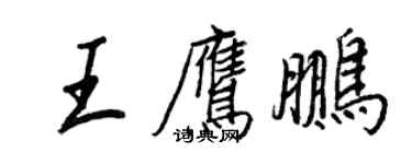 王正良王鷹鵬行書個性簽名怎么寫