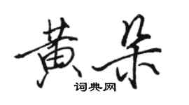 駱恆光黃朵行書個性簽名怎么寫