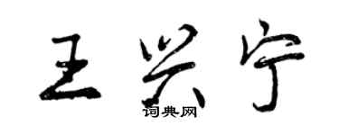 曾慶福王興寧行書個性簽名怎么寫