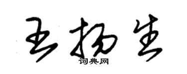 朱錫榮王揚生草書個性簽名怎么寫