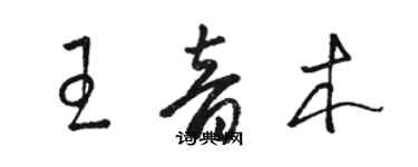 駱恆光王音木草書個性簽名怎么寫