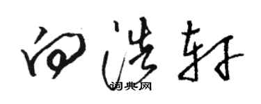 駱恆光向浩軒草書個性簽名怎么寫