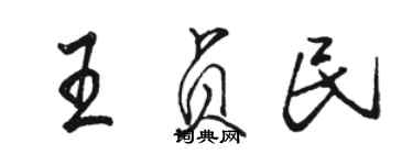 駱恆光王貞民行書個性簽名怎么寫