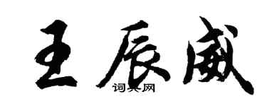 胡問遂王辰威行書個性簽名怎么寫
