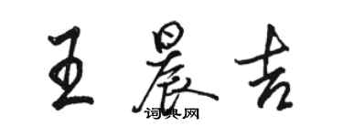 駱恆光王晨吉行書個性簽名怎么寫