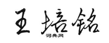 駱恆光王培銘行書個性簽名怎么寫