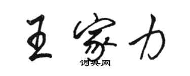 駱恆光王家力行書個性簽名怎么寫