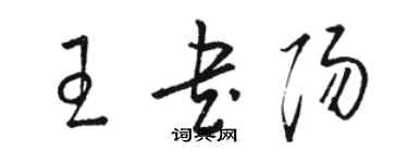 駱恆光王書陽草書個性簽名怎么寫