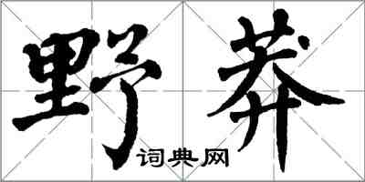 翁闓運野莽楷書怎么寫