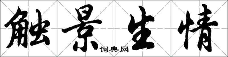 胡問遂觸景生情行書怎么寫