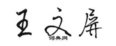 駱恆光王文屏行書個性簽名怎么寫