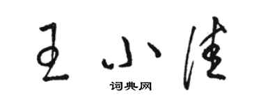 駱恆光王小佳草書個性簽名怎么寫