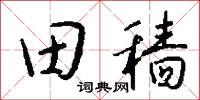 絨面的意思_絨面的解釋_國語詞典