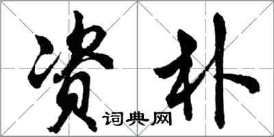 胡問遂資朴行書怎么寫