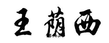 胡問遂王蔭西行書個性簽名怎么寫