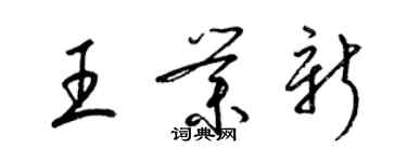 梁錦英王業新草書個性簽名怎么寫