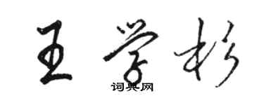 駱恆光王學杉行書個性簽名怎么寫