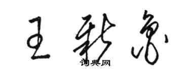 駱恆光王新魯草書個性簽名怎么寫