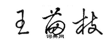 駱恆光王苗枝草書個性簽名怎么寫