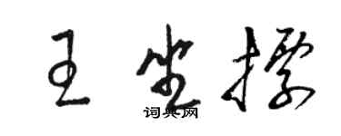駱恆光王坐標草書個性簽名怎么寫