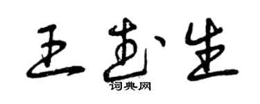 曾慶福王武生草書個性簽名怎么寫