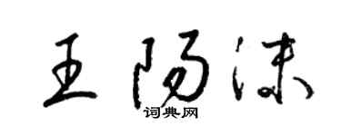 梁錦英王陽沫草書個性簽名怎么寫