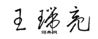 駱恆光王瑞亮草書個性簽名怎么寫