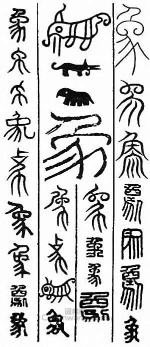 “象”篆刻印章