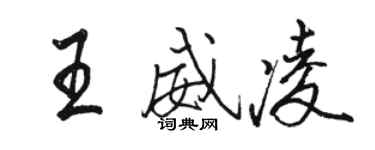 駱恆光王威凌行書個性簽名怎么寫