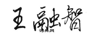 駱恆光王融智行書個性簽名怎么寫