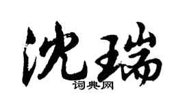 胡問遂沈瑞行書個性簽名怎么寫